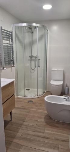 a bathroom with a shower and a toilet and a sink at Adosado en Casco Antiguo con piscina in Altea