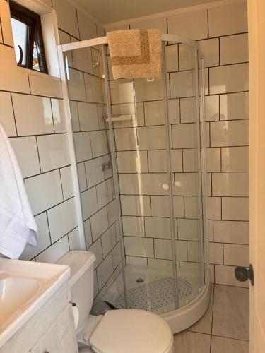 a bathroom with a shower with a toilet and a sink at La Ola Tiny House in Maitencillo