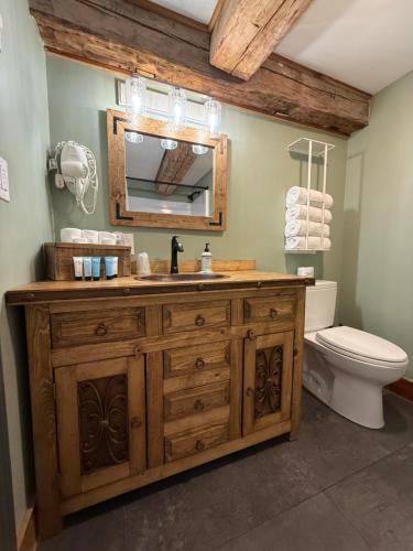 a bathroom with a sink and a toilet and a mirror at The Black Walnut Inn in Amherst