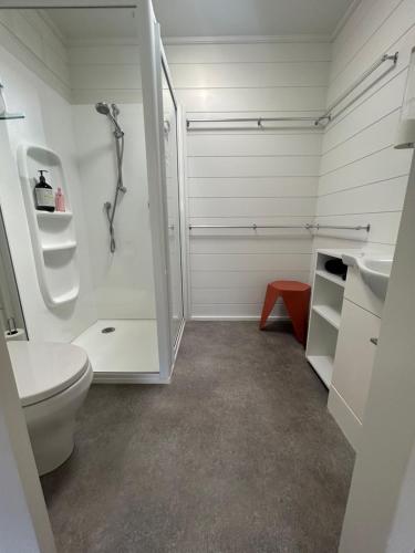 a bathroom with a toilet and a shower and a sink at The Bach at Te Toki in Palm Beach