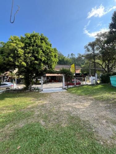 a park with a tree in front of a building at Pousada Laço e Nó in Itatiaia