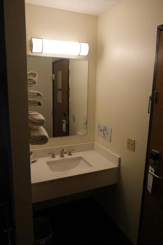 a bathroom with a sink and a large mirror at FairBridge Inn Express Chesterton in Chesterton