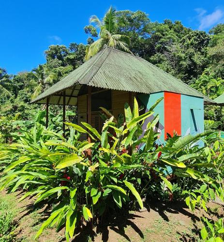 a small hut with a thatched roof next to some plants at Jenené Lodge Nuquí in Nuquí