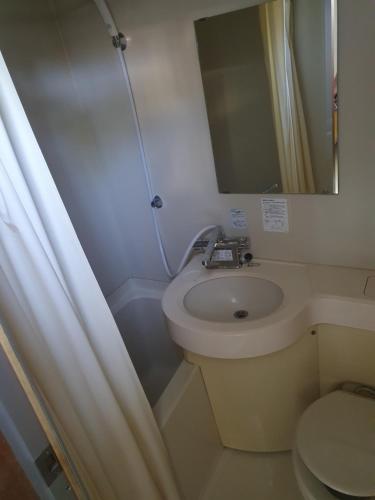 a bathroom with a sink and a toilet and a mirror at Yamadasan Ski Lodge - Madarao in Madarao Kogen