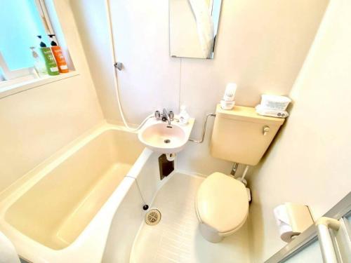 a bathroom with a sink and a toilet and a tub at トリトン茶屋町#101#102 in Aomori