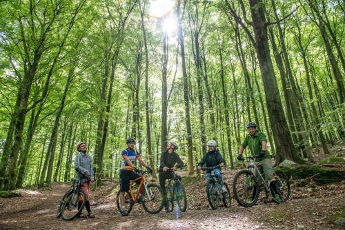 a group of people riding bikes on a trail in the woods at STF Villa Söderåsen B&B in Röstånga
