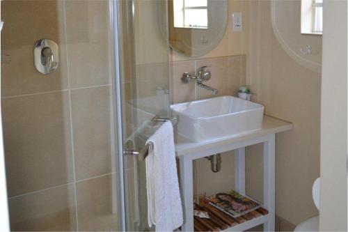 a bathroom with a sink and a shower at Hunters B&B in Mtunzini
