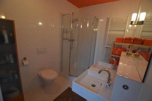 a bathroom with a shower and a toilet and a sink at B&B Stadsoase Nijmegen in Nijmegen