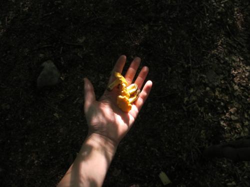 Fotografie z fotogalerie ubytování STF Nyrups Naturhotell v destinaci Höör