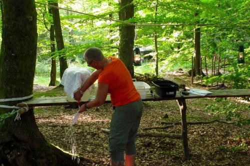 Fotografie z fotogalerie ubytování STF Nyrups Naturhotell v destinaci Höör