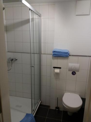 La salle de bains est pourvue de toilettes et d'une douche en verre. dans l'établissement Apartment Rust UG, à Rust