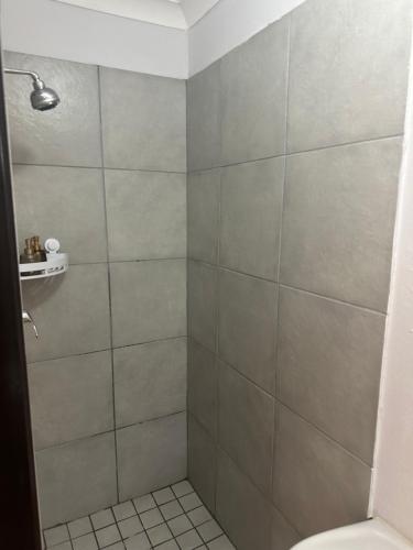 a bathroom with a tiled shower with a toilet at Chirute guest lodge in Randfontein