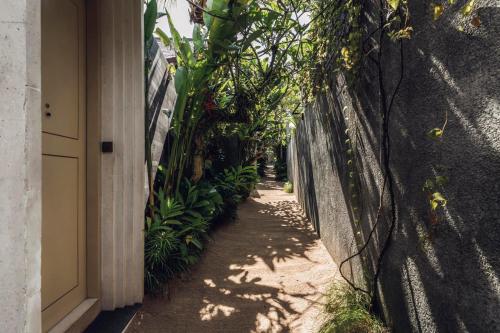 a sidewalk next to a wall with plants at Astera Resort & Spa Canggu by Ini Vie Hospitality in Canggu