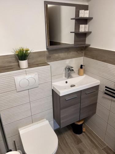 a bathroom with a sink and a toilet and a mirror at Chalet Wörthersee in Velden am Wörthersee