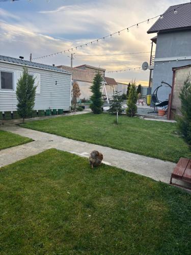Gallery image of Casă mobilă 2 in Constanţa