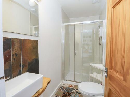 a bathroom with a shower and a toilet and a sink at Gun Powder Cottage in Tighnabruaich