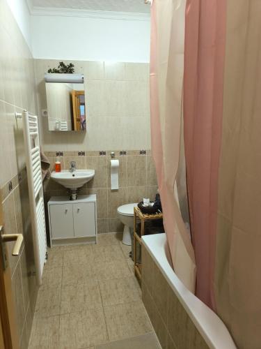 a bathroom with a sink and a tub and a toilet at FAVORIT CENTRUM Apartman in Kaposvár