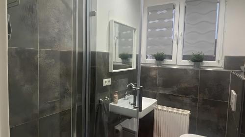 a bathroom with a sink and a shower at Ferienwohnung auf dem Traumpfad in Ettringen