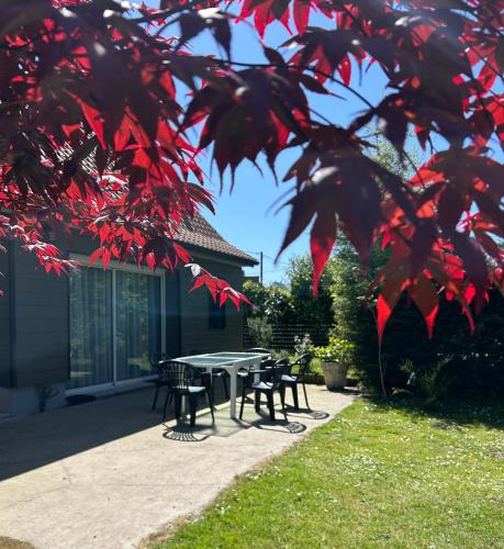 a picnic table and chairs under a tree with red leaves at Gîte spacieux, Proche Plage, Grand jardin in Neufchâtel-Hardelot