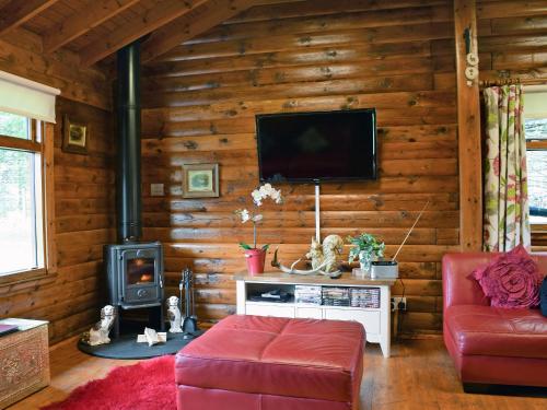 a living room with a tv and a wood wall at Forest View in Strathyre