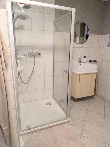 a shower stall in a bathroom with a sink at Blaues Häuschen an der Burg in Neuenstein