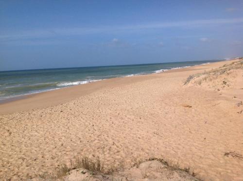 a sandy beach with the ocean in the background at Apartamentos Barracuda in Faro