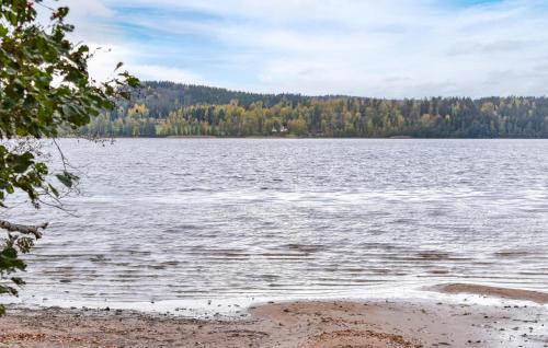 a view of a large body of water at Stunning Home In Eksjö With Kitchen in Eksjö