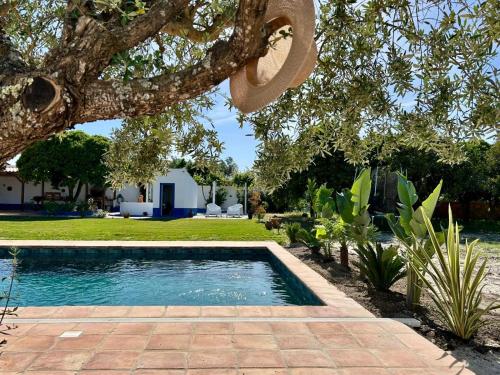 a swimming pool in a yard with a tree at Villa Morena Saltwater Pool & Alentejo Charm in Grândola