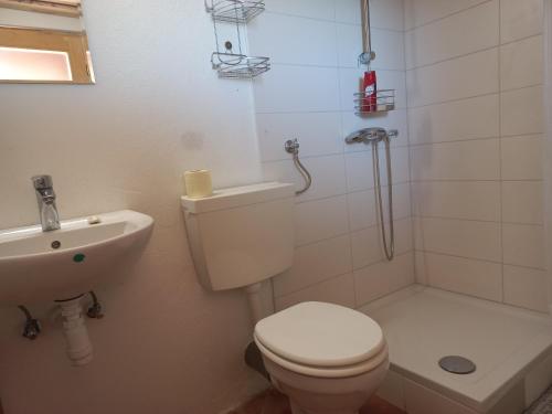 a white bathroom with a toilet and a sink at Bellevue wooden apartment in Žetale
