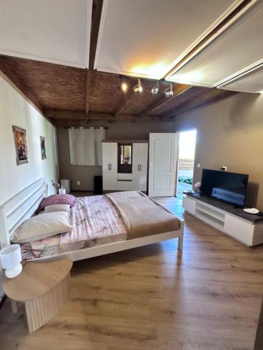 a bedroom with a large bed and a flat screen tv at Le Lys des Makes in Saint-Louis