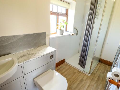 a bathroom with a shower and a toilet and a sink at Ticklepenny in Louth