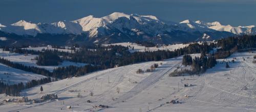 a snowy ski slope with trees and snow covered mountains at Hotel ZAWRAT Ski Resort & Spa in Białka Tatrzanska