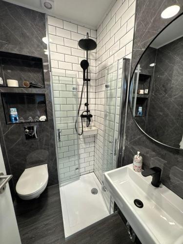 a bathroom with a shower and a sink and a toilet at Ecke's Apartment in Hüllhorst