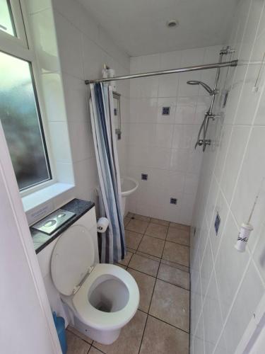 a bathroom with a toilet and a shower at Westcliffe chalets channel view in Niton