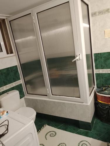 a bathroom with a toilet and a glass shower at Savelona's Guest Appartment in Agrinio