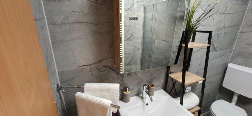 a bathroom with a white sink and a mirror at Monte Symphony in Rakovica