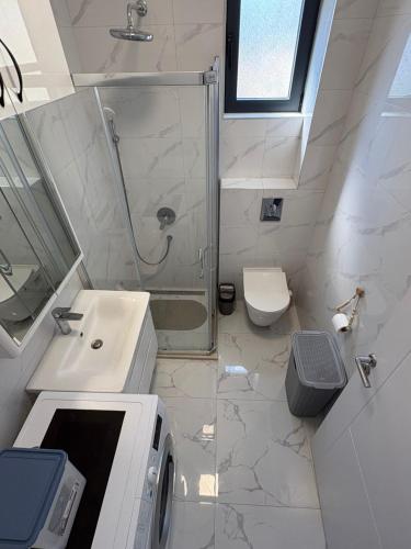 a bathroom with a sink and a shower and a toilet at Ivanovica in Đenovići