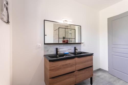 a bathroom with a sink and a mirror at Maison Lahourcade in Lahourcade