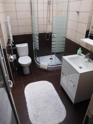 オルショバにあるCasa Verdeのバスルーム(トイレ、洗面台、鏡付)