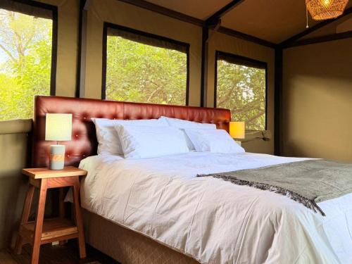 a bedroom with a large bed and two windows at Buffalo Tented Camps in Mahango
