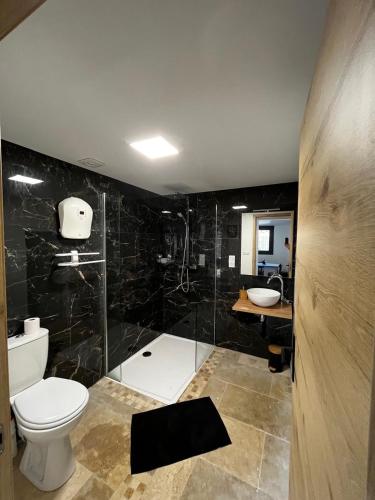 a bathroom with a toilet and a shower and a sink at Gîte du Banissou Chez Papy in Rosis