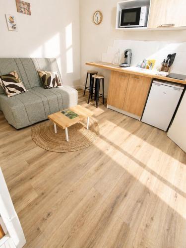 a living room with a couch and a table at Le Petit Jean Alexandre – Studio centre-ville in Poitiers