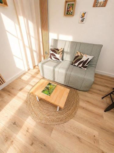 a living room with a couch and a coffee table at Le Petit Jean Alexandre – Studio centre-ville in Poitiers