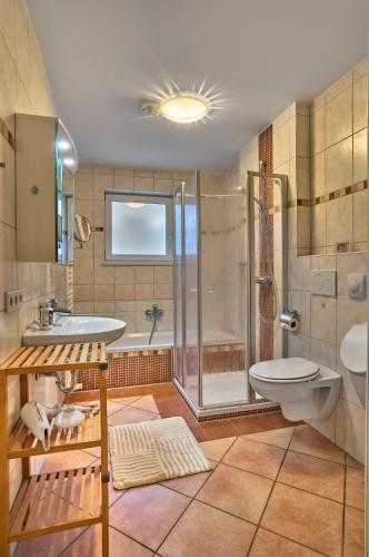 a bathroom with a shower and a toilet and a sink at Ferienwohnung im Goldtal in Bad Abbach