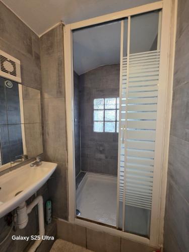 a bathroom with a shower and a sink at PR2 - 2 Bedrooms and a Fully Equipped Kitchen in Le Blanc-Mesnil