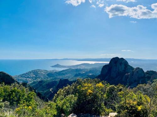 Les pins