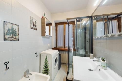 a bathroom with a sink and a washing machine at Casetta del Caregon a Vinigo in Vodo Cadore