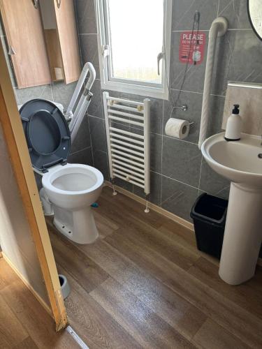 a bathroom with a toilet and a sink at 6Berth Caravan-Wheelchair Accessible-Pet Friendly in Skegness