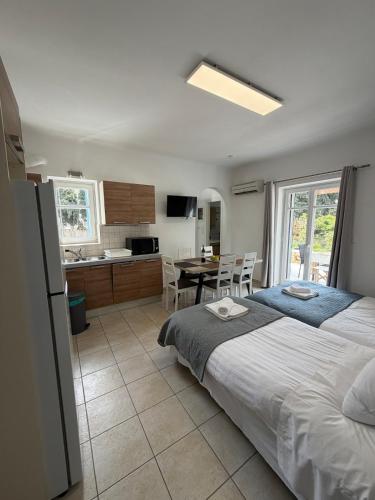 Kaniaris Olive Garden House Paros