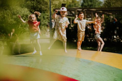 a group of children playing on a trampoline at Vakantiehoeve Si-Es-An in Balkbrug